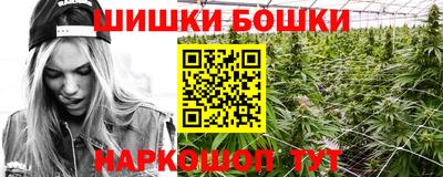 стаф Абакан