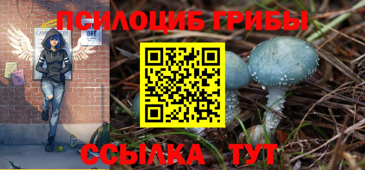 Альметьевск  Галлюциногенные грибы MAGIC MUSHROOMS  Галлюциногенные грибы GOLDEN TEACHER  Вход с VPN 